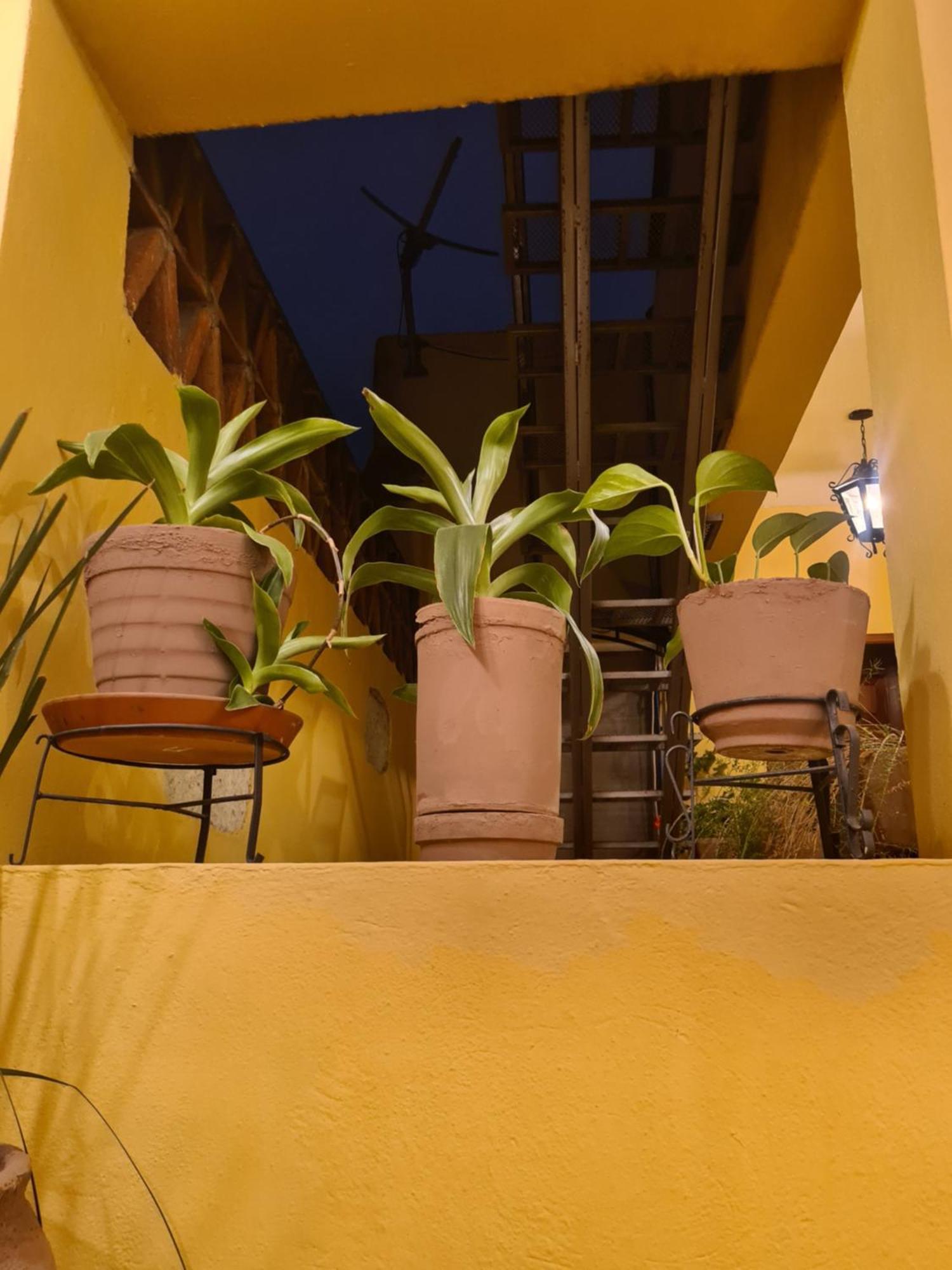 Hotel Casa Divina Oaxaca Exterior photo